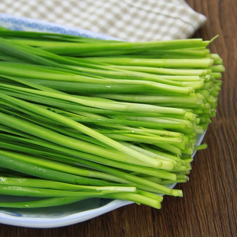 优质韭菜乐亭韭菜，产地发货大量上市货源充足