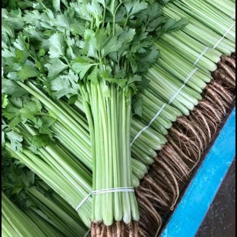 【牛商推荐】精选香芹产地现发，新鲜到家，量大从优