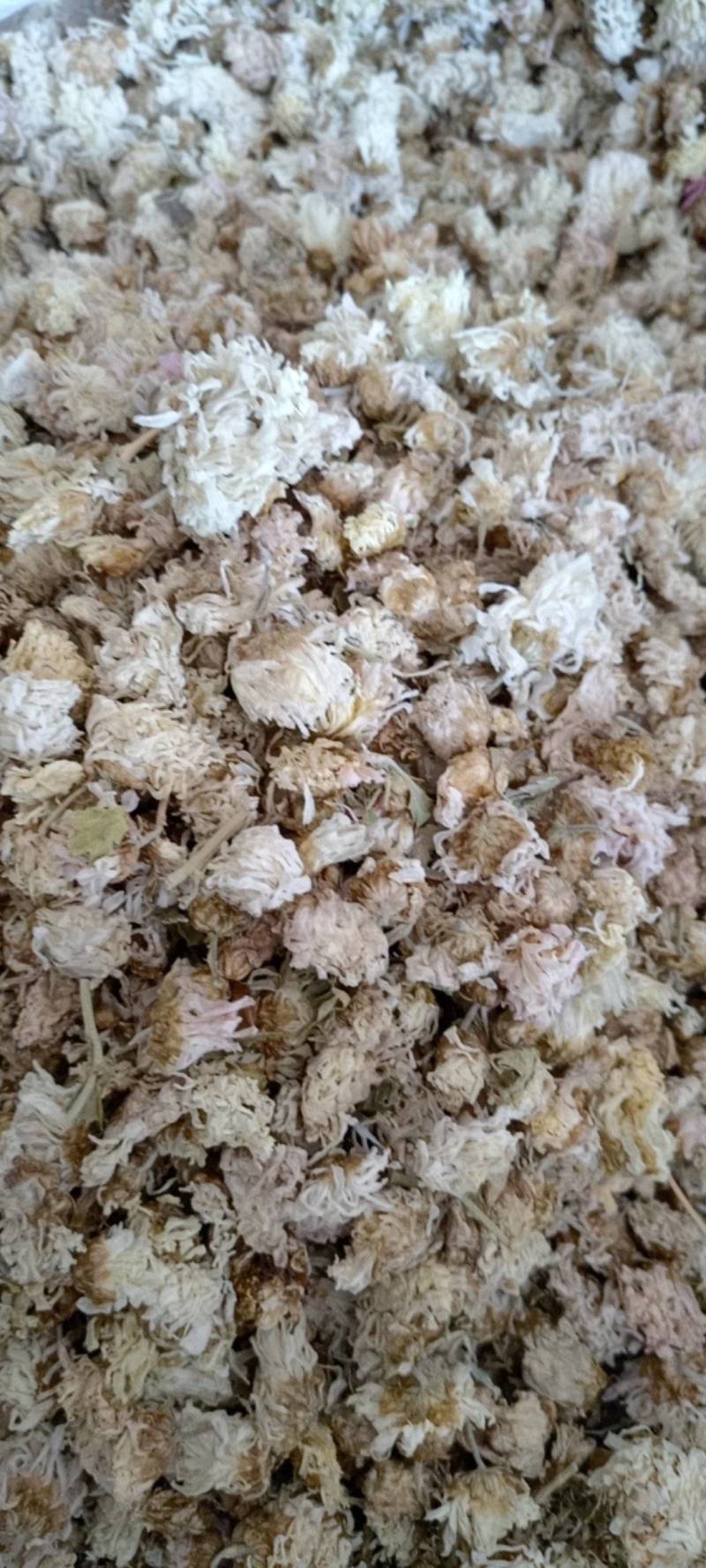 菊花新货菊花现货供应批发各种中药材量大优惠