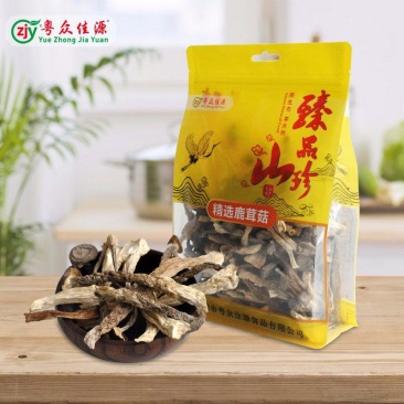 粤众佳源鹿茸菇