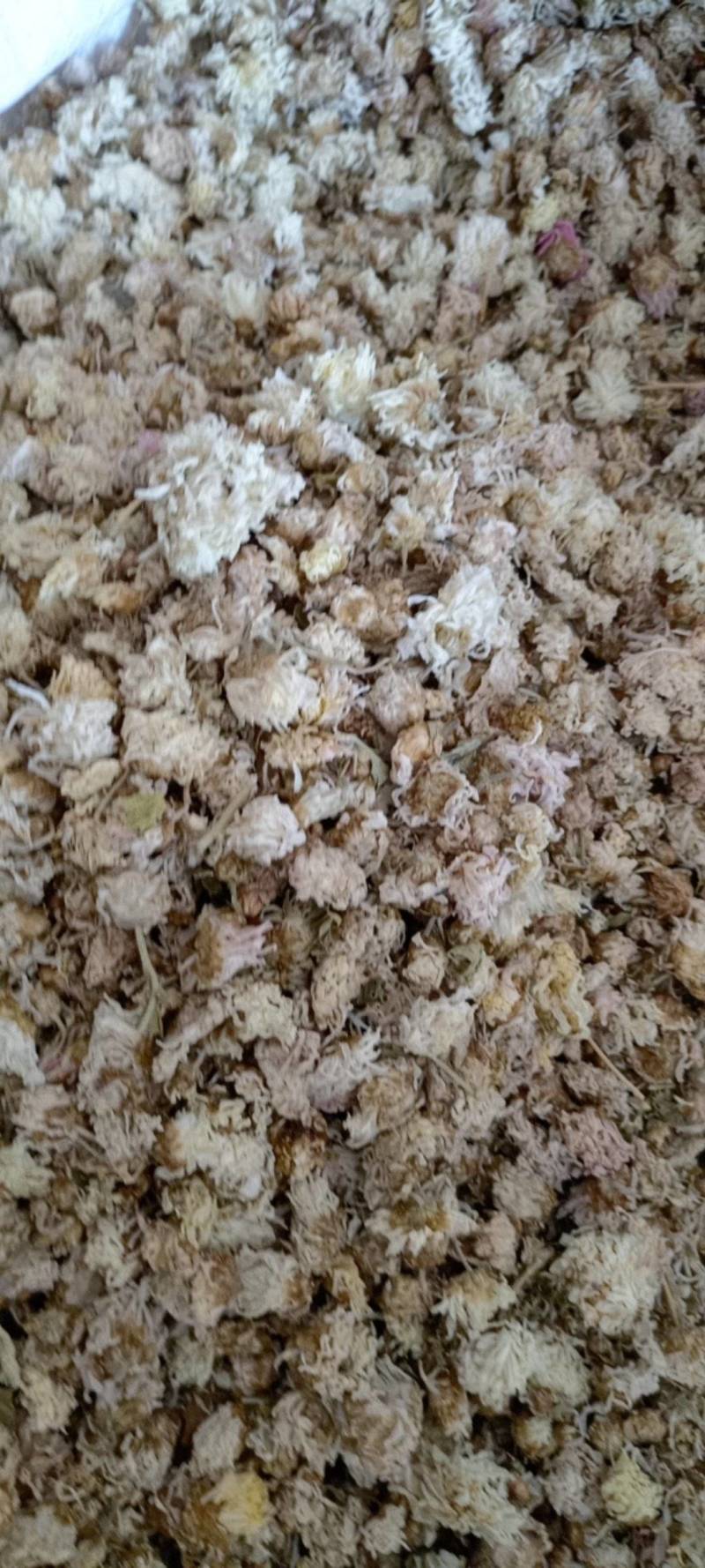 菊花新货菊花现货供应批发各种中药材量大优惠