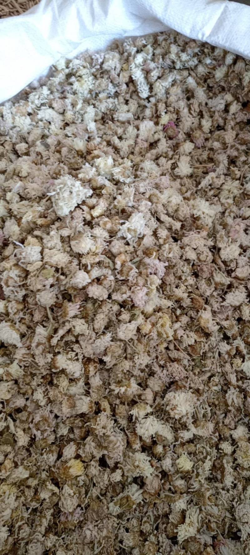 菊花新货菊花现货供应批发各种中药材量大优惠