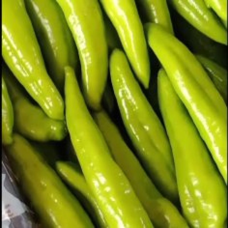 乐亭县尖椒青椒麻辣大量上市，需要的老板一起合作共赢