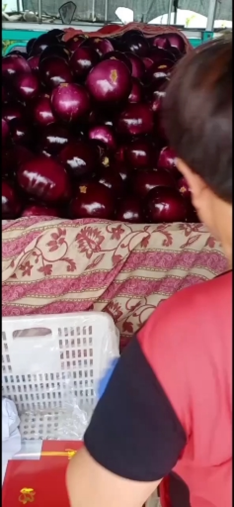 乐亭县尖椒青椒麻辣大量上市，需要的老板一起合作共赢