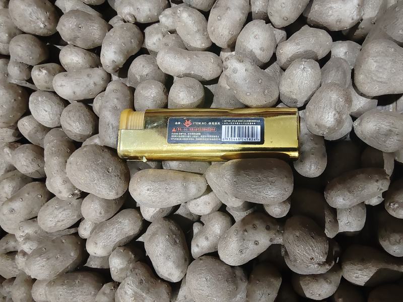 1.7通天白玉种豆