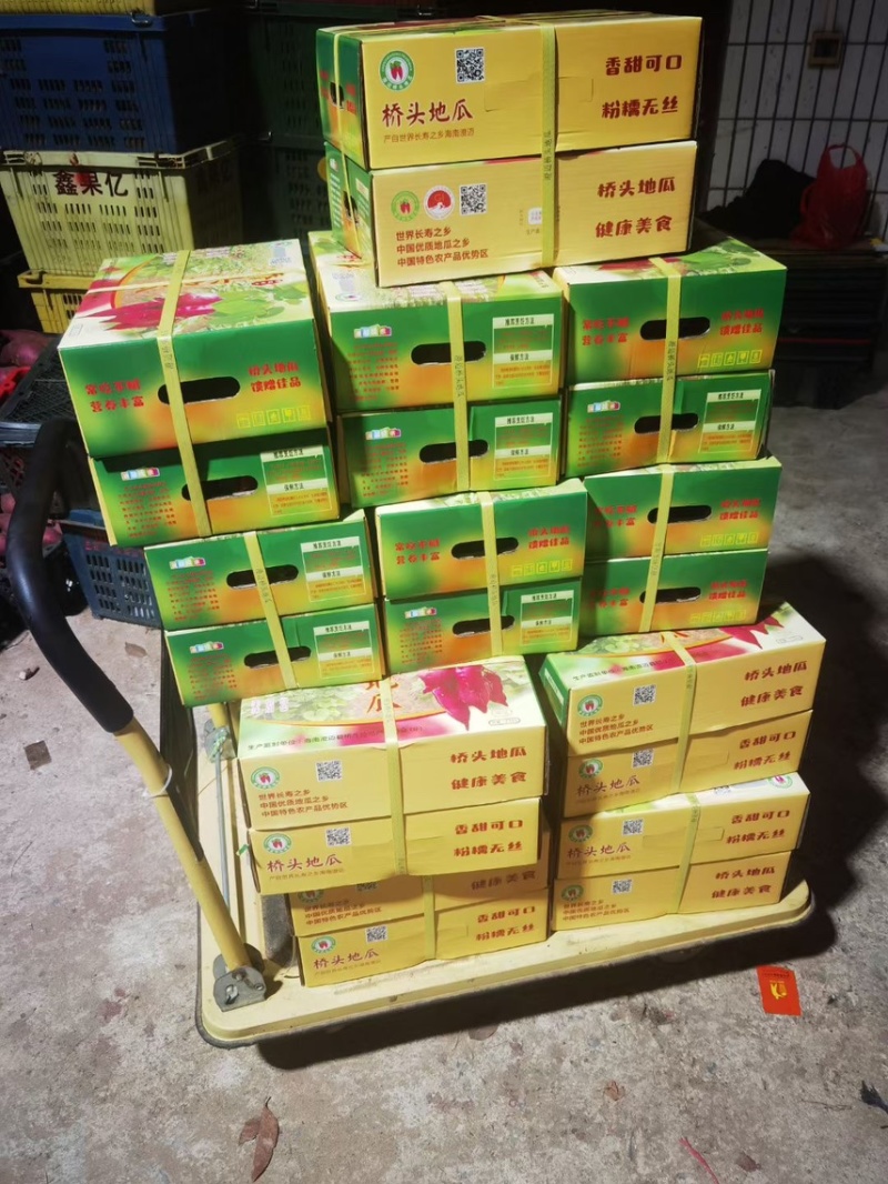 【精品】海南板栗薯桥头地瓜高系14鸣门产地直采，一手货源