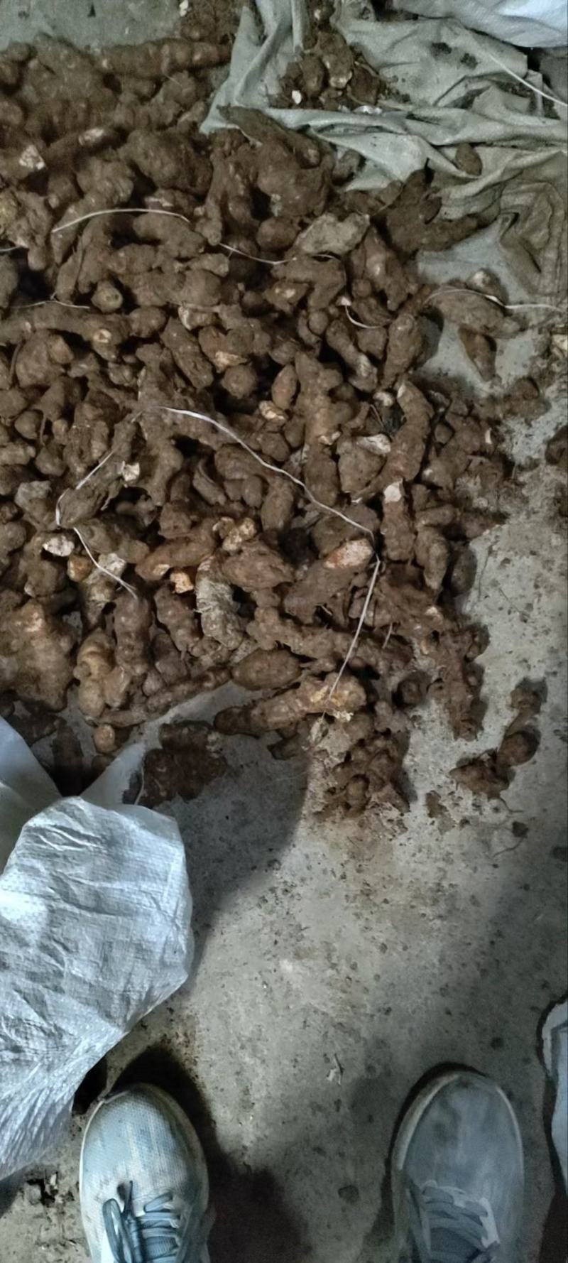 长期供应无添加土茯苓正规货源保证品质