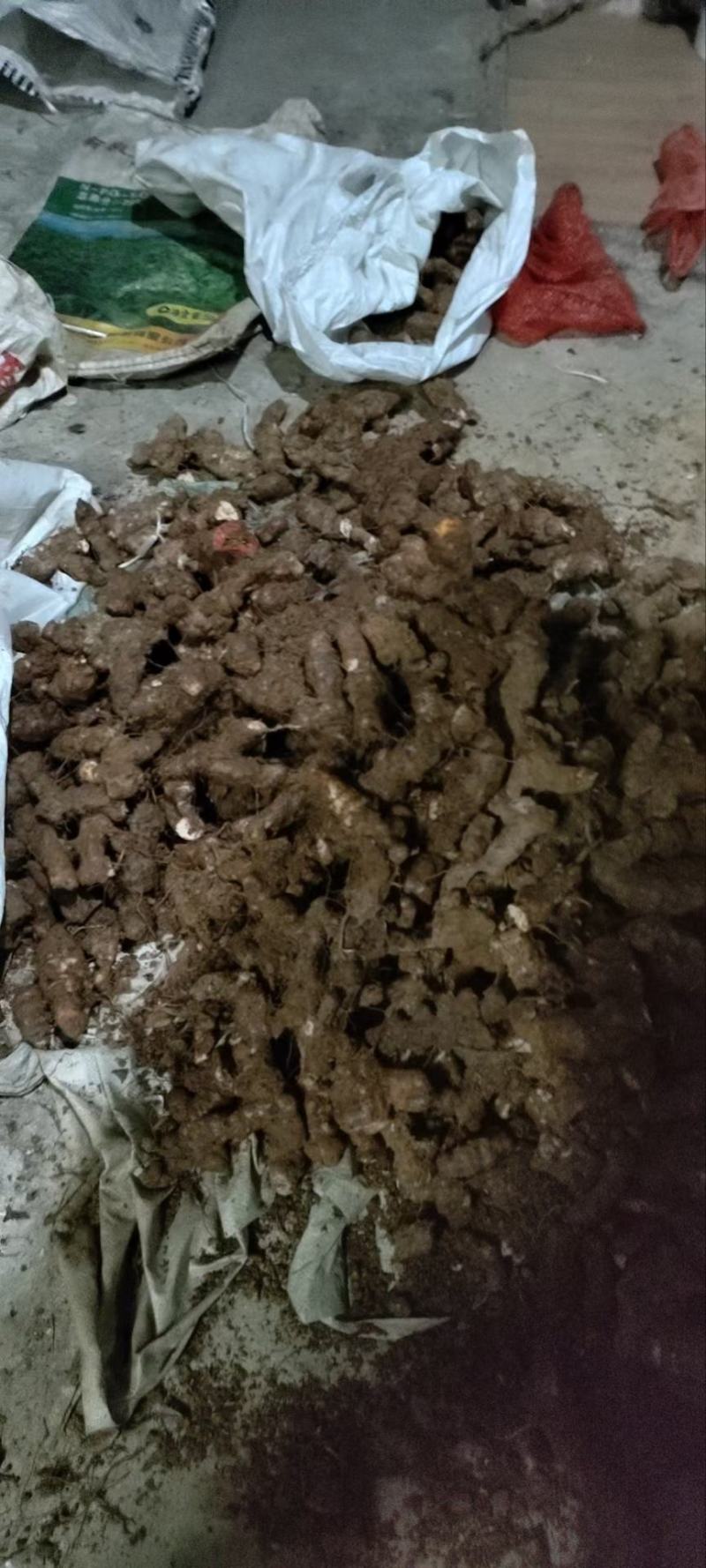 长期供应无添加土茯苓正规货源保证品质