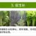 山东鲁抗3%赤霉酸调节生长生长调节剂增产保花保果浸种