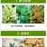 山东鲁抗3%赤霉酸调节生长生长调节剂增产保花保果浸种