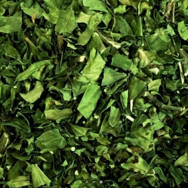 荣发种植有限公司