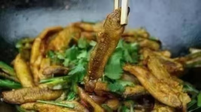 炸泥鳅炸小酥肉炸猫猫鱼库房现货价格美丽低成本高利润