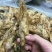 炸泥鳅炸小酥肉炸猫猫鱼库房现货价格美丽低成本高利润