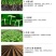 重茬菌克疏松改良土壤生根抗重茬预防黄化根腐枯萎土传病害