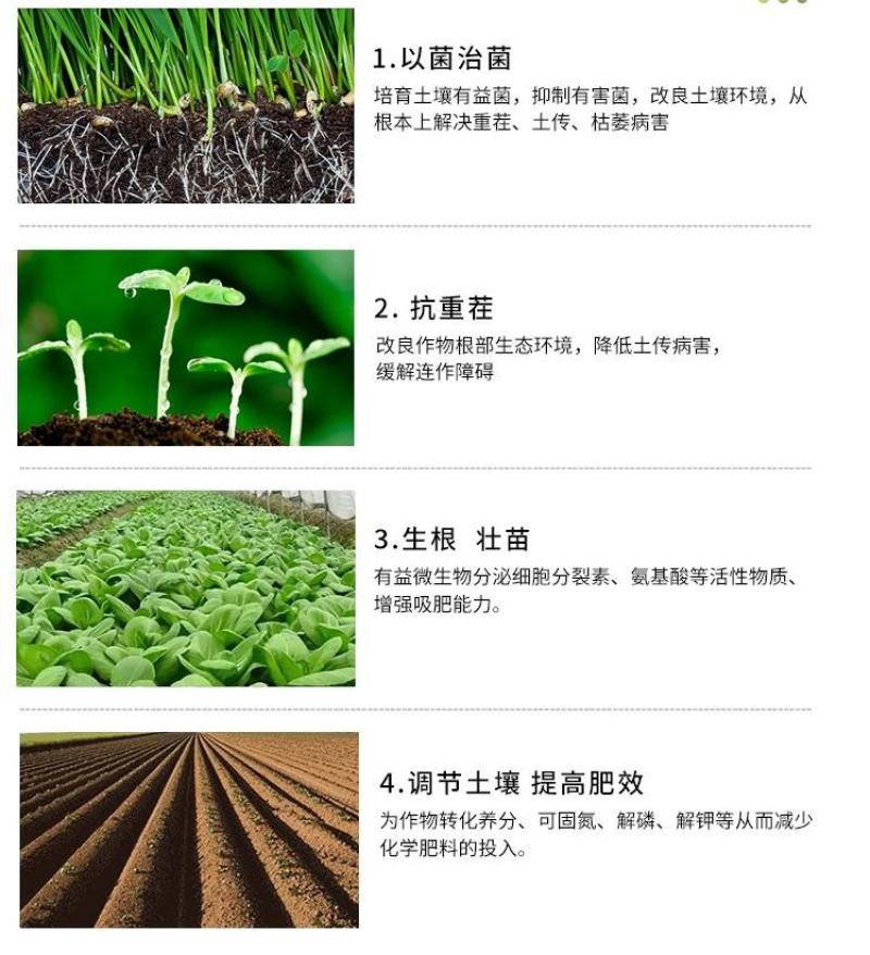 重茬菌克疏松改良土壤生根抗重茬预防黄化根腐枯萎土传病害
