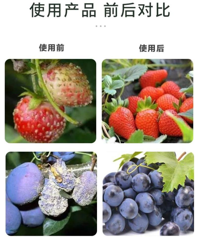重茬菌克疏松改良土壤生根抗重茬预防黄化根腐枯萎土传病害