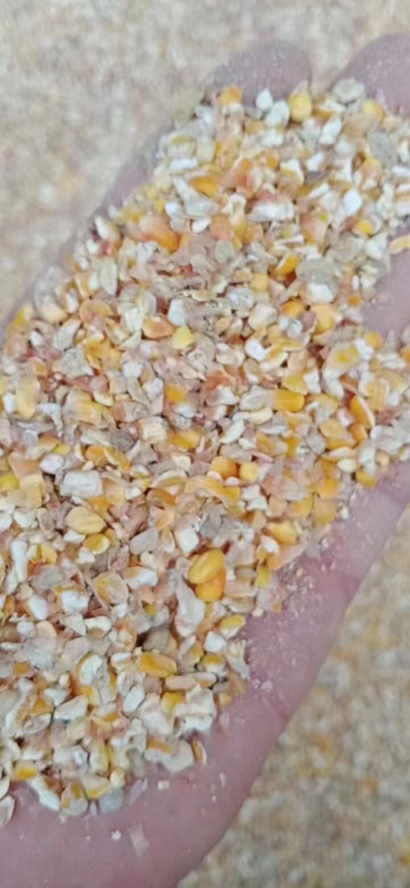 常年全国现货直发一手货源各种碎玉米碎小麦豆粕等