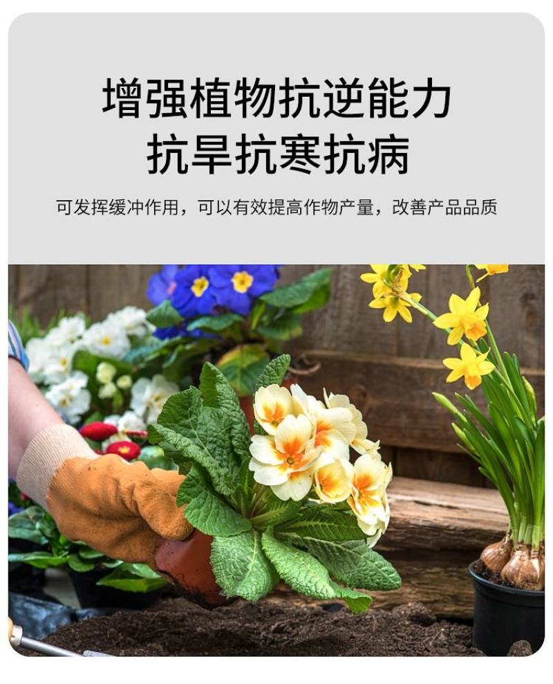 松土精土壤改良活化处理剂活化疏松土壤调节酸碱打破板结
