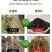 松土精土壤改良活化处理剂活化疏松土壤调节酸碱打破板结