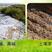松土精土壤改良活化处理剂活化疏松土壤调节酸碱打破板结
