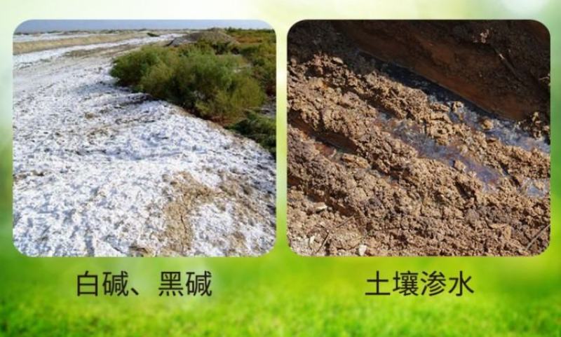 松土精土壤改良活化处理剂活化疏松土壤调节酸碱打破板结