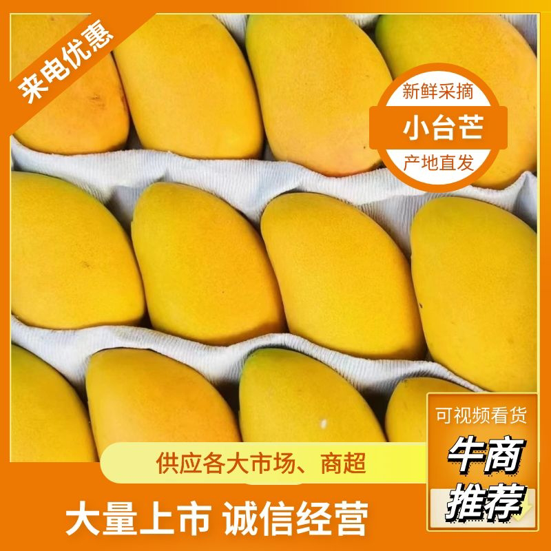 小台芒大量上市三亚产地直销商超品质货源充足量大