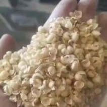 大豆皮，黄豆皮碎禽类饲料质量优良，价格低