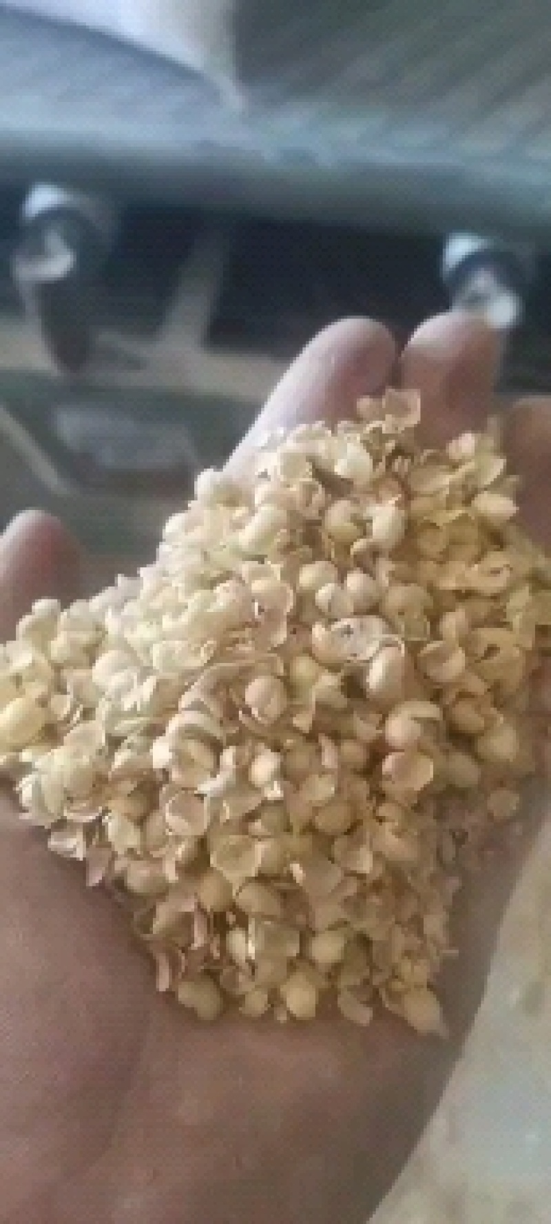 大豆皮，黄豆皮碎禽类饲料质量优良，价格低