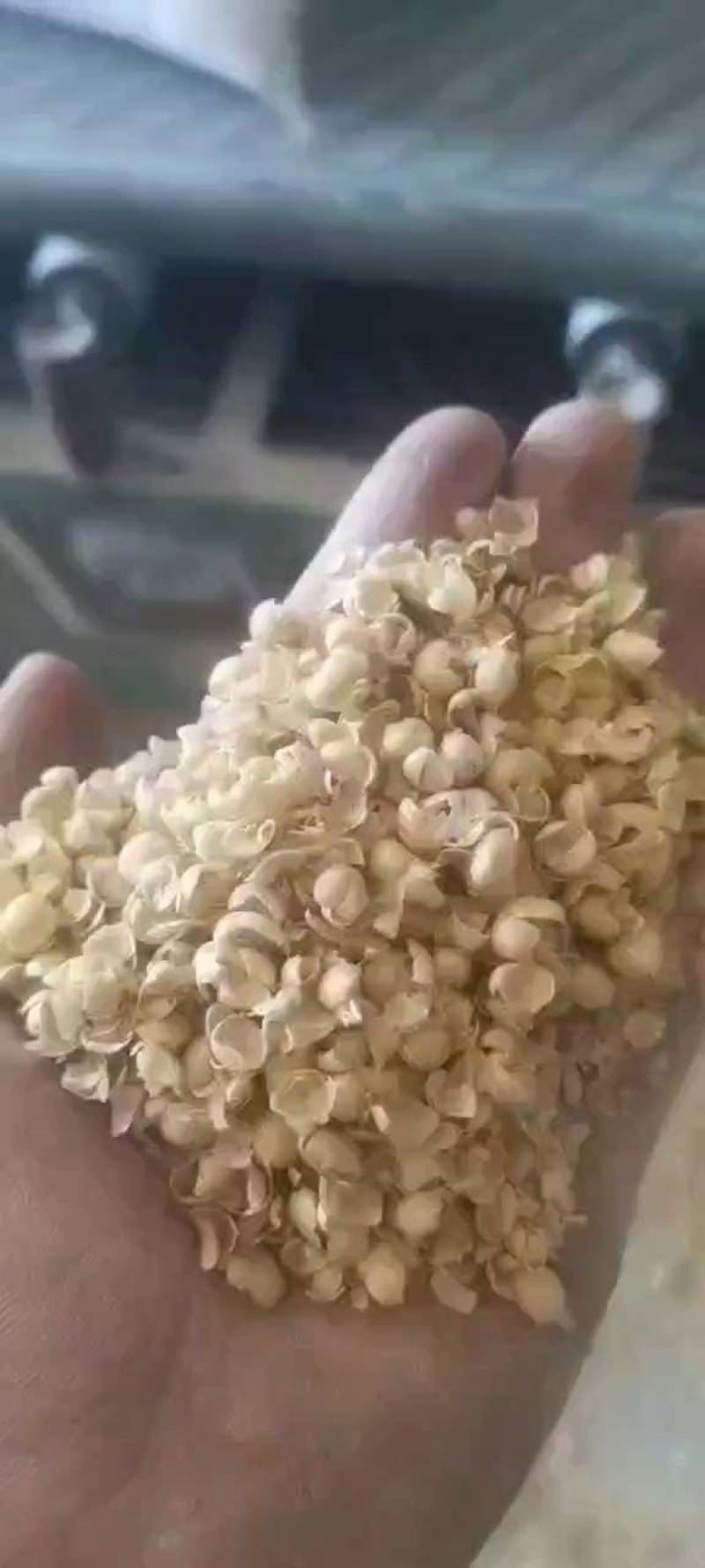 大豆皮，黄豆皮碎禽类饲料质量优良，价格低
