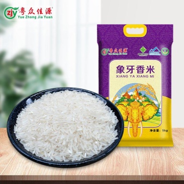 粤众佳源象牙米