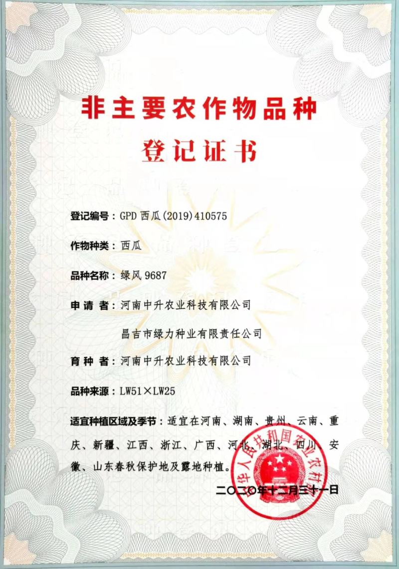 农业部登记甜王西瓜种子甜王种子瓤色大红早熟甜王种子