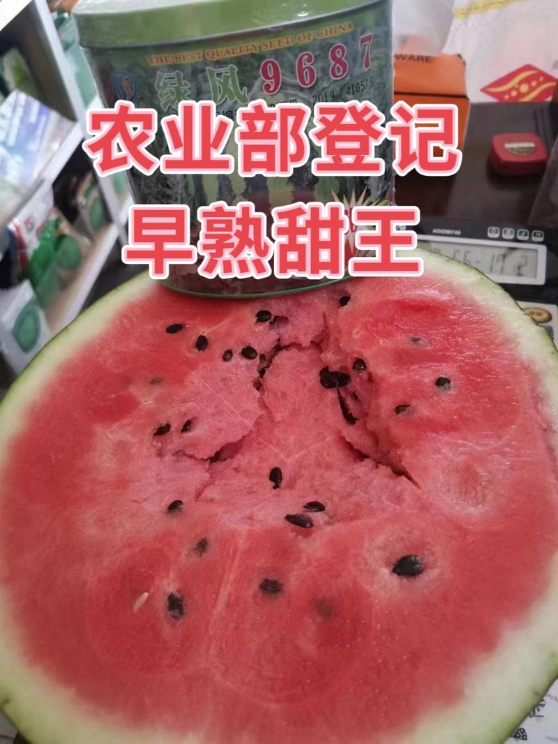 农业部登记甜王西瓜种子甜王种子瓤色大红早熟甜王种子