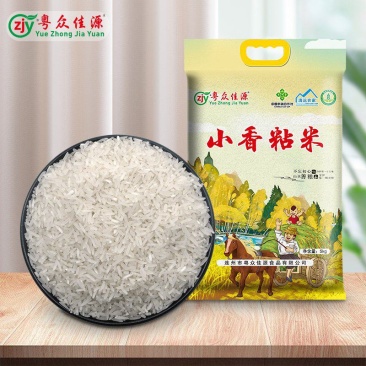 粤众佳源小香粘米