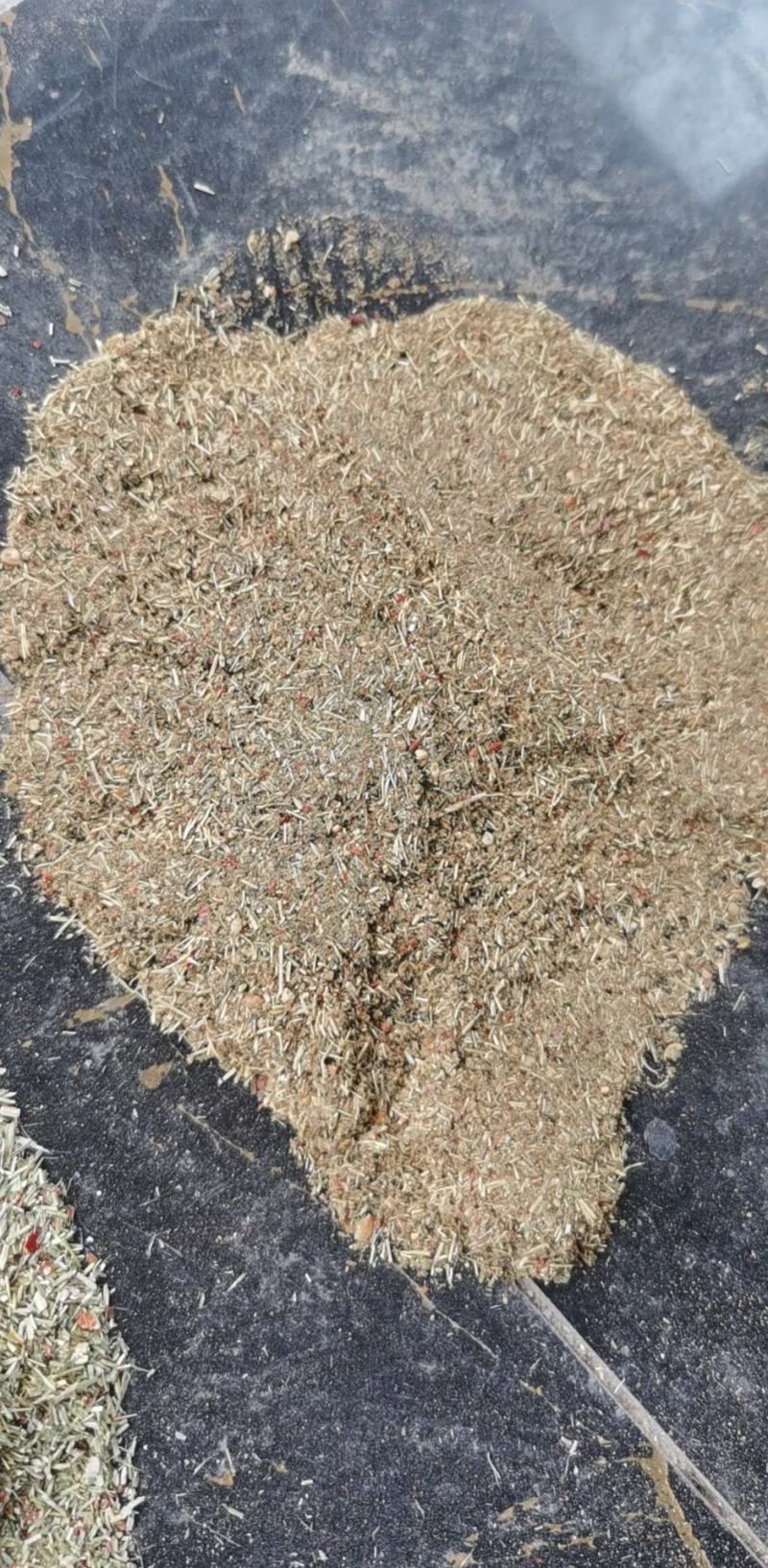 辣椒，辣椒杆子次粉红绿都有货，