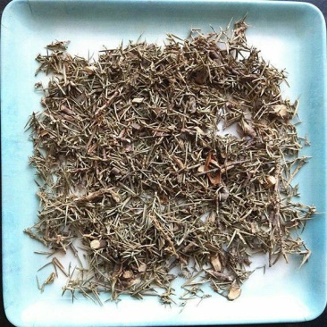 刺柏叶干货刺柏叶中药材欢迎选购！