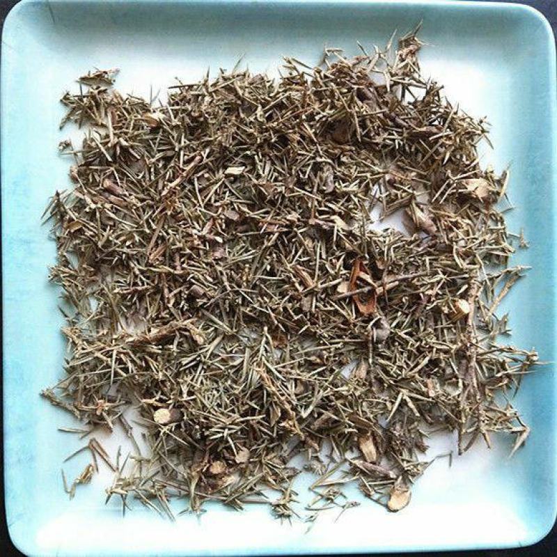 刺柏叶干货刺柏叶中药材欢迎选购！