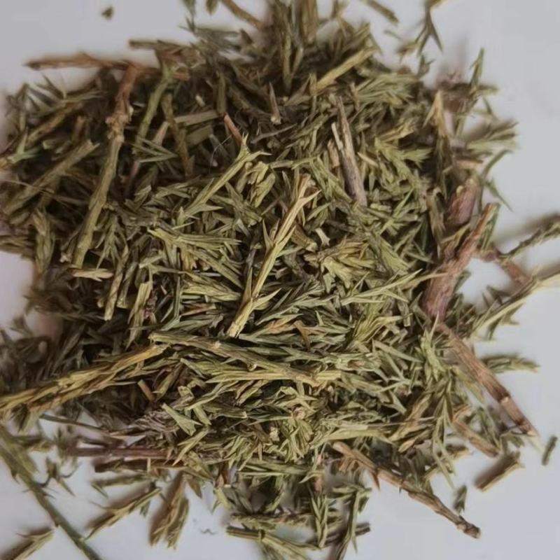 刺柏叶干货刺柏叶中药材欢迎选购！