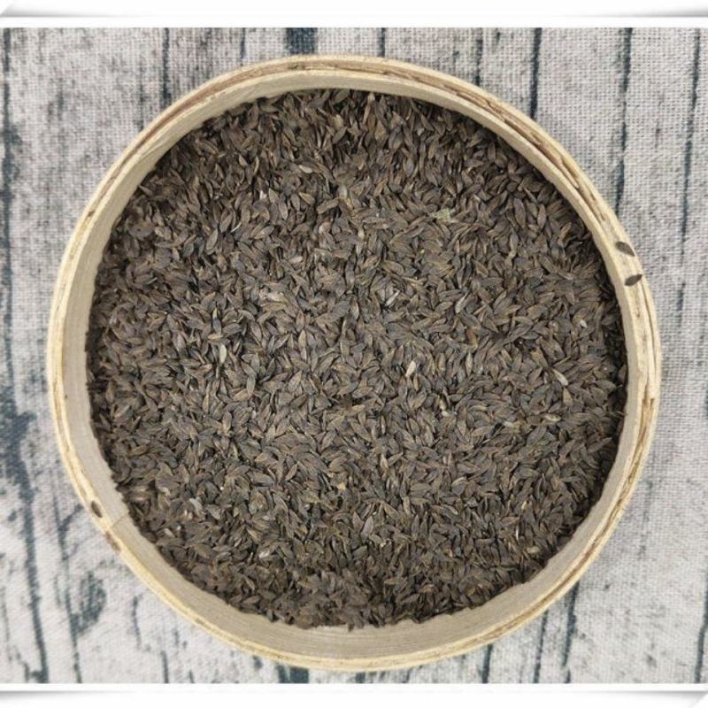 黑巨胜干货黑苣胜白苣胜中药材欢迎选！量大从优！