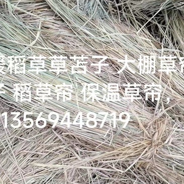 批发保暖稻草草苫子大棚草帘绿化草帘草苫子稻草