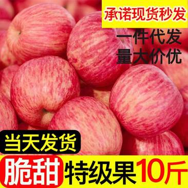 【电商供应链代发】山东红富士苹果包邮脆甜团购一件代发