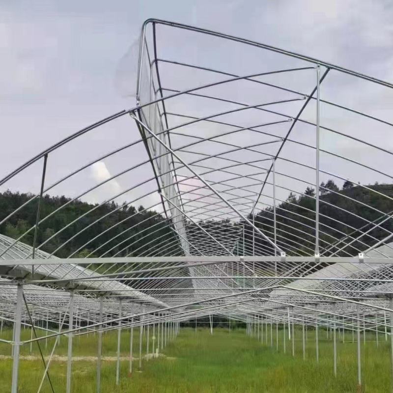 专业生产椭圆管，圆管，锌镁铝方管，大棚各种配件，