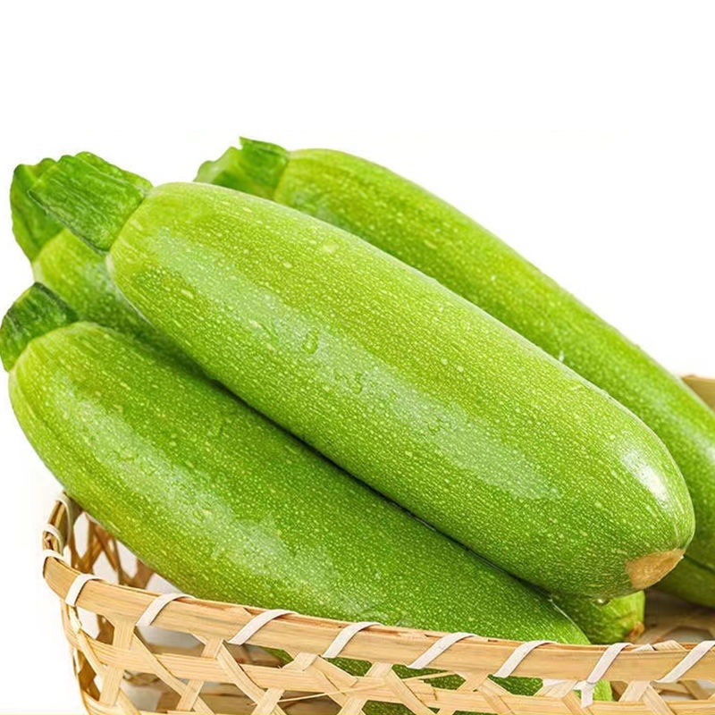 山东绿皮西葫芦货源充足大量现货对接批发商超社区团购