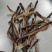 地龙、地龙干、全开地龙、广地龙、泰国地龙、全检地龙