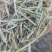 花生秧货源充足无土无膜无霉变保质保量欢迎选购