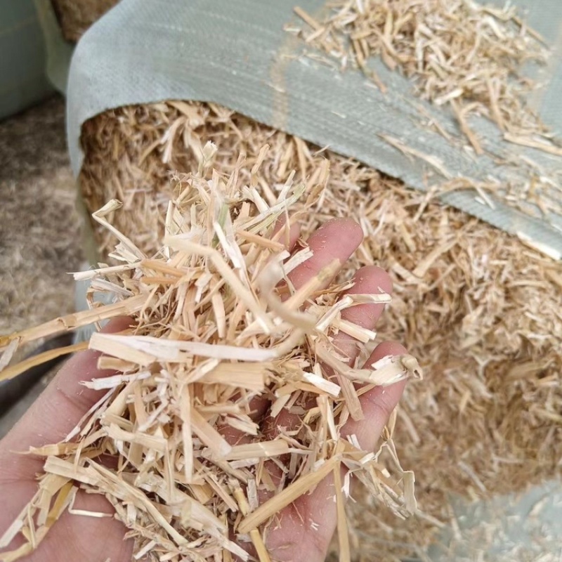 小麦秸秆无土无膜无霉变大量供应保证品质欢迎选购