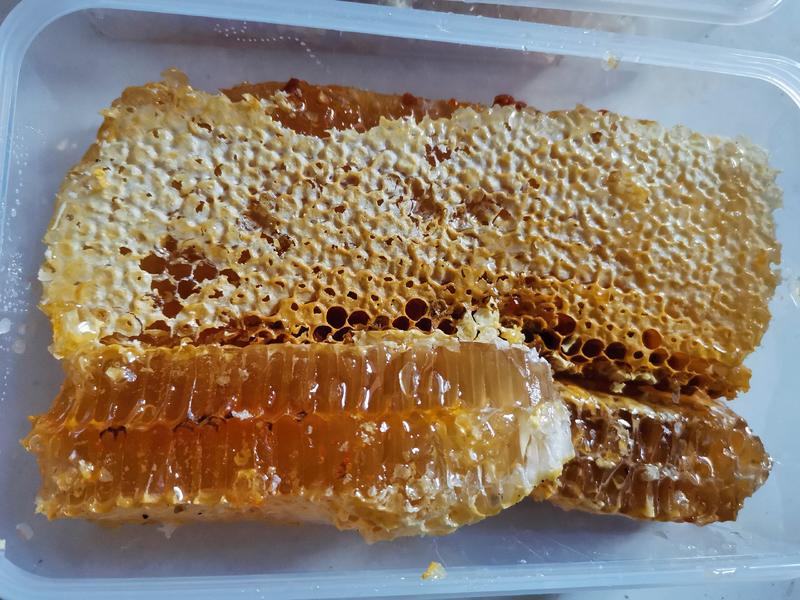 野生蜂巢蜜，精品原生态，好品质(稀有好货)