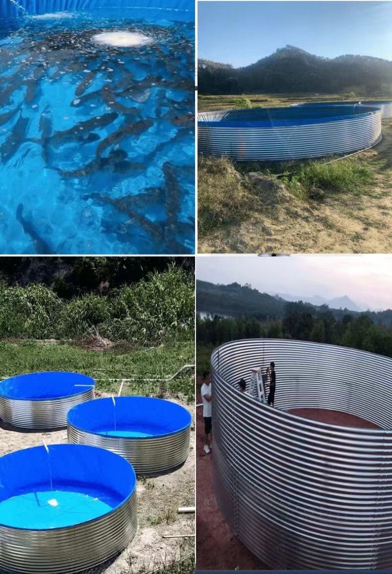 新型陆地镀锌板帆布鱼池挡板基地高位池圆筒养殖鱼池蓄水池