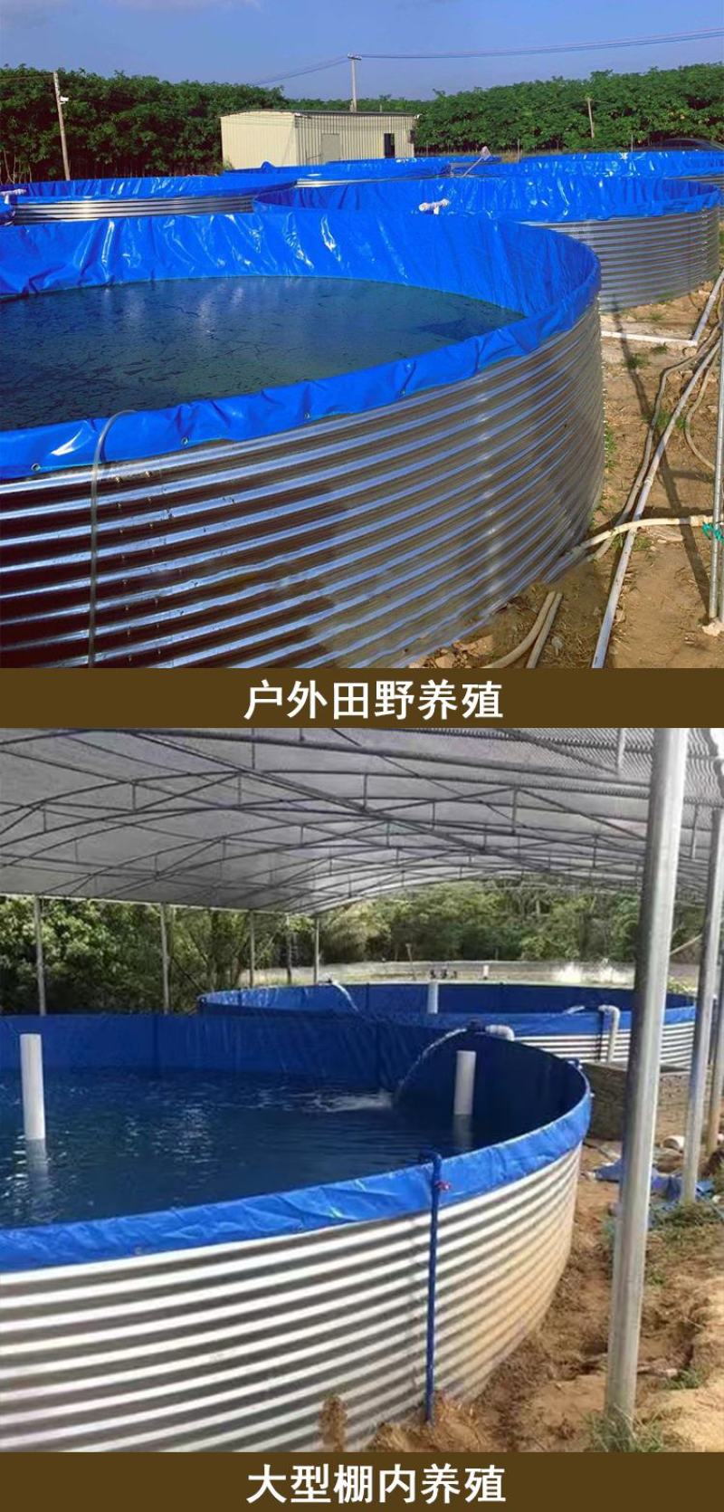 新型陆地镀锌板帆布鱼池挡板基地高位池圆筒养殖鱼池蓄水池