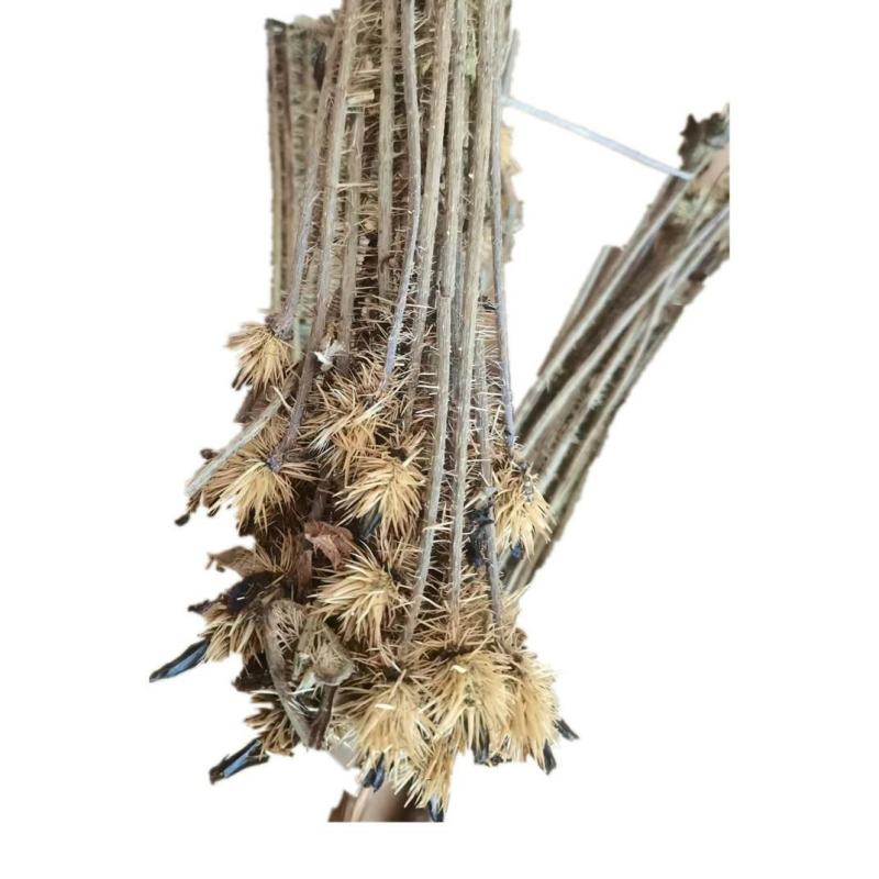 绿绒蒿干货绿绒蒿中药材欢迎选购！
