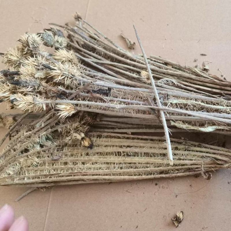 绿绒蒿干货绿绒蒿中药材欢迎选购！